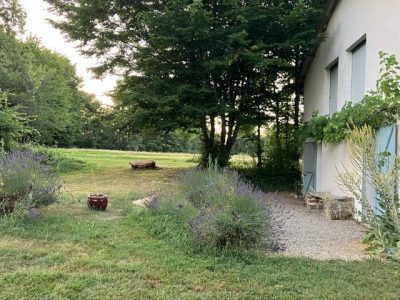 00tuin boomgaard zwembad 16