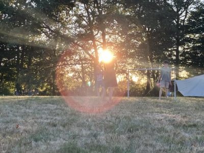 00tuin boomgaard zwembad 26