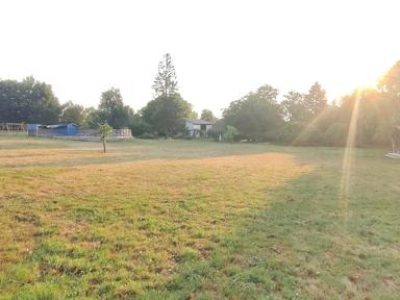 00tuin boomgaard zwembad 40