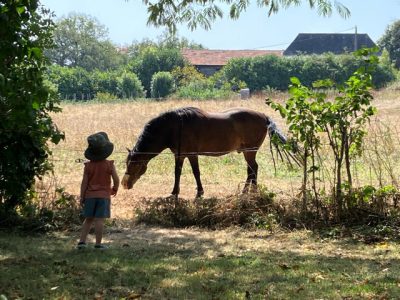 00tuin boomgaard zwembad 8