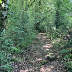 00wandelen fietsen 12-360x360